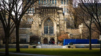 美国耶鲁大学世界排名 世界名校前十名排名