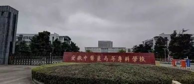 长春医学高等专科学校排名 吉林省高等专科学校排名