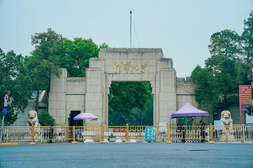 重庆大学和东南大学哪个好 东南大学交通工程专业和重庆大学电气工程专业应该选哪个？